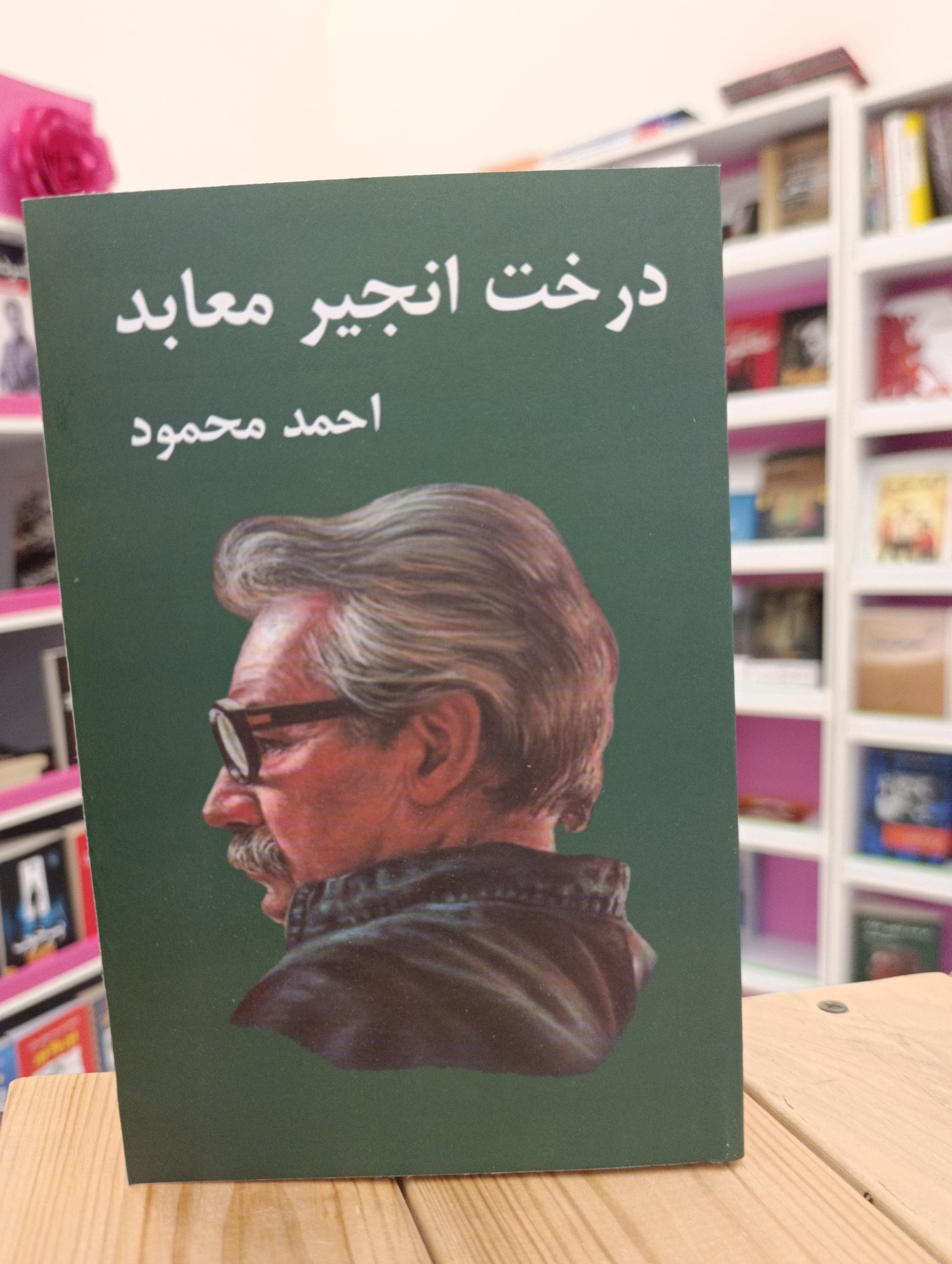 کتاب دوجلدی درخت انجیر معابد نوشته احمد محمود انتشارات معین