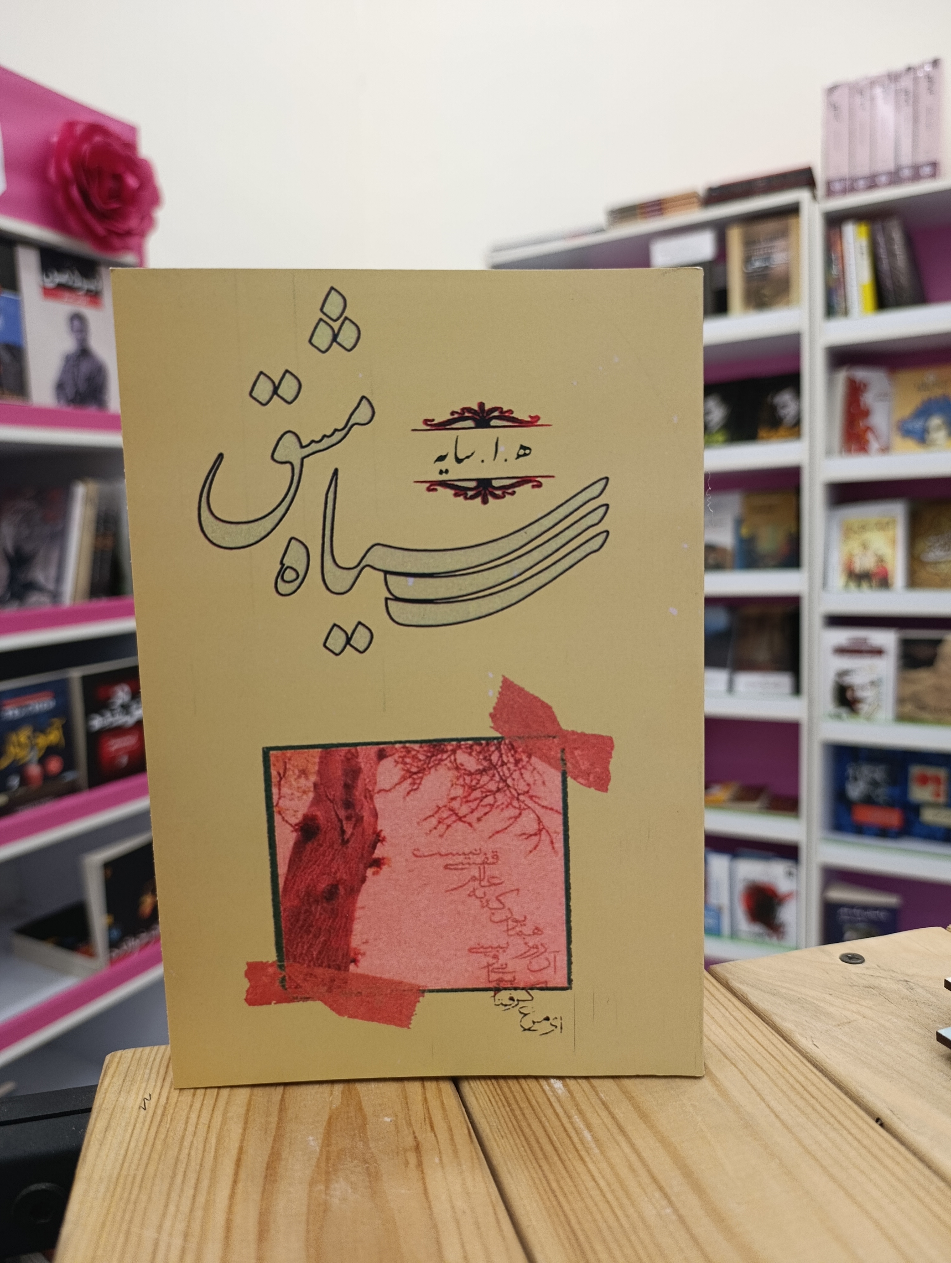 کتاب سیاه مشق نوشته ه.ا. سایه